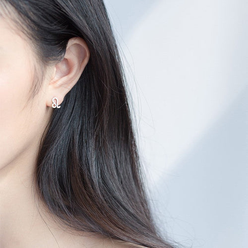 12 constellation earrings simple wishing earrings earrings