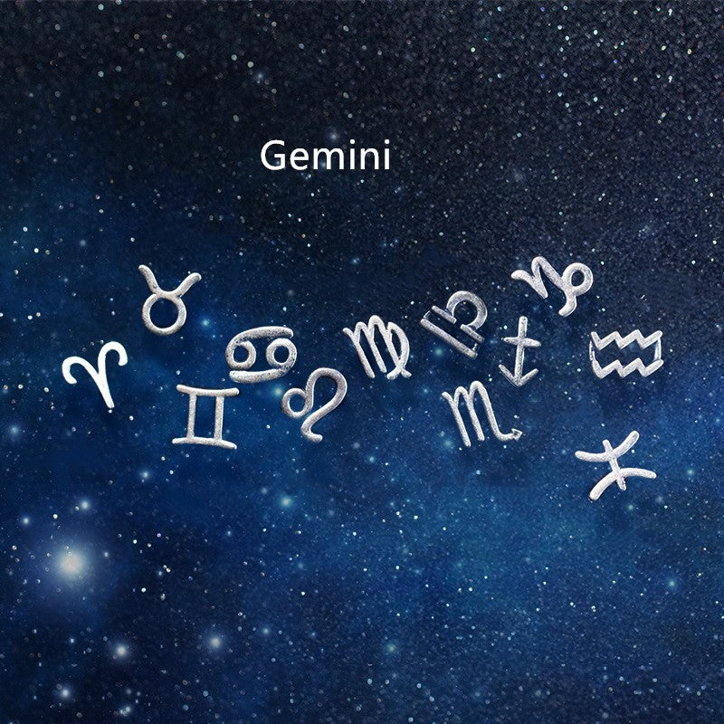 12 constellation earrings simple wishing earrings earrings