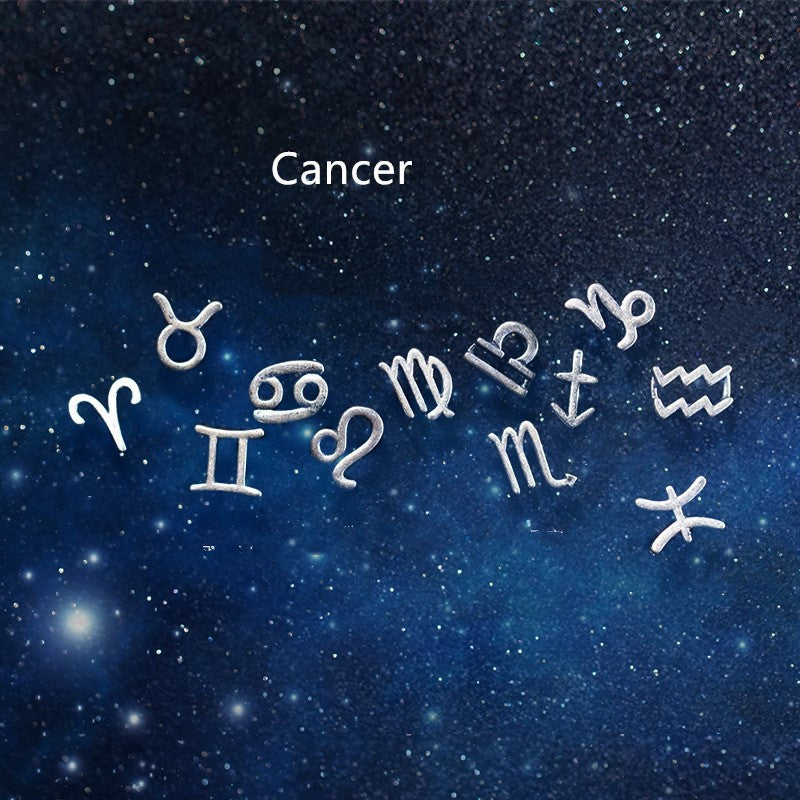 12 constellation earrings simple wishing earrings earrings